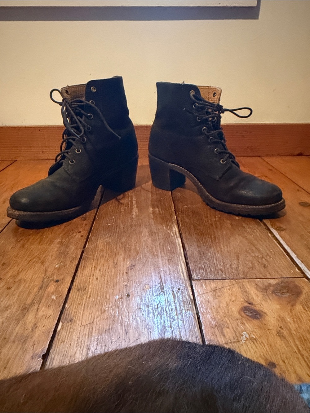 Frye Women’s Sabrina dark brown lace up bootie.